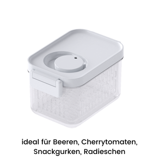Die DATEMATE Frischhaltebox von BNB x VCN ist transparent, hat einen weißen Deckel, einen Haltbarkeits-Timer und ist stapelbar. Ideal für Beeren, Kirschtomaten, Snackgurken und Radieschen. Erhältlich in verschiedenen Größen.