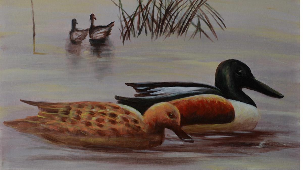 Handgemaltes Ölbild Enten am See auf Leinwand, Löffelentenpaar vor Schilf in zarten Grau- und Beigetönen – Detailansicht
