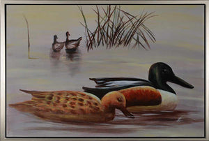 Handgemaltes Ölbild Enten am See auf Leinwand, Löffelentenpaar vor Schilf in zarten Grau- und Beigetönen, mit silbernem Rahmen