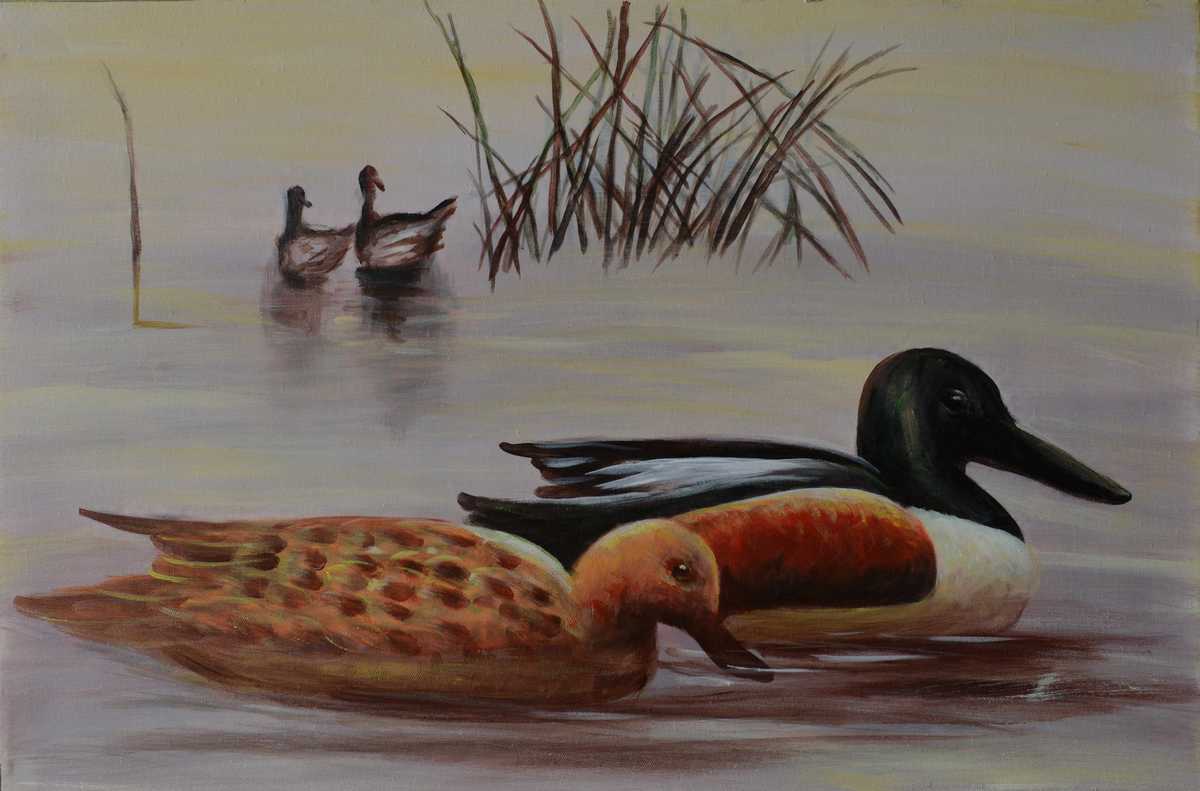 Handgemaltes Ölbild Enten am See auf Leinwand, Löffelentenpaar vor Schilf in zarten Grau- und Beigetönen
