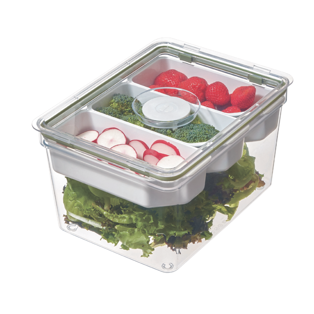 FRESH - CLEAR food storage container - 26.4x19.8x7.6cm